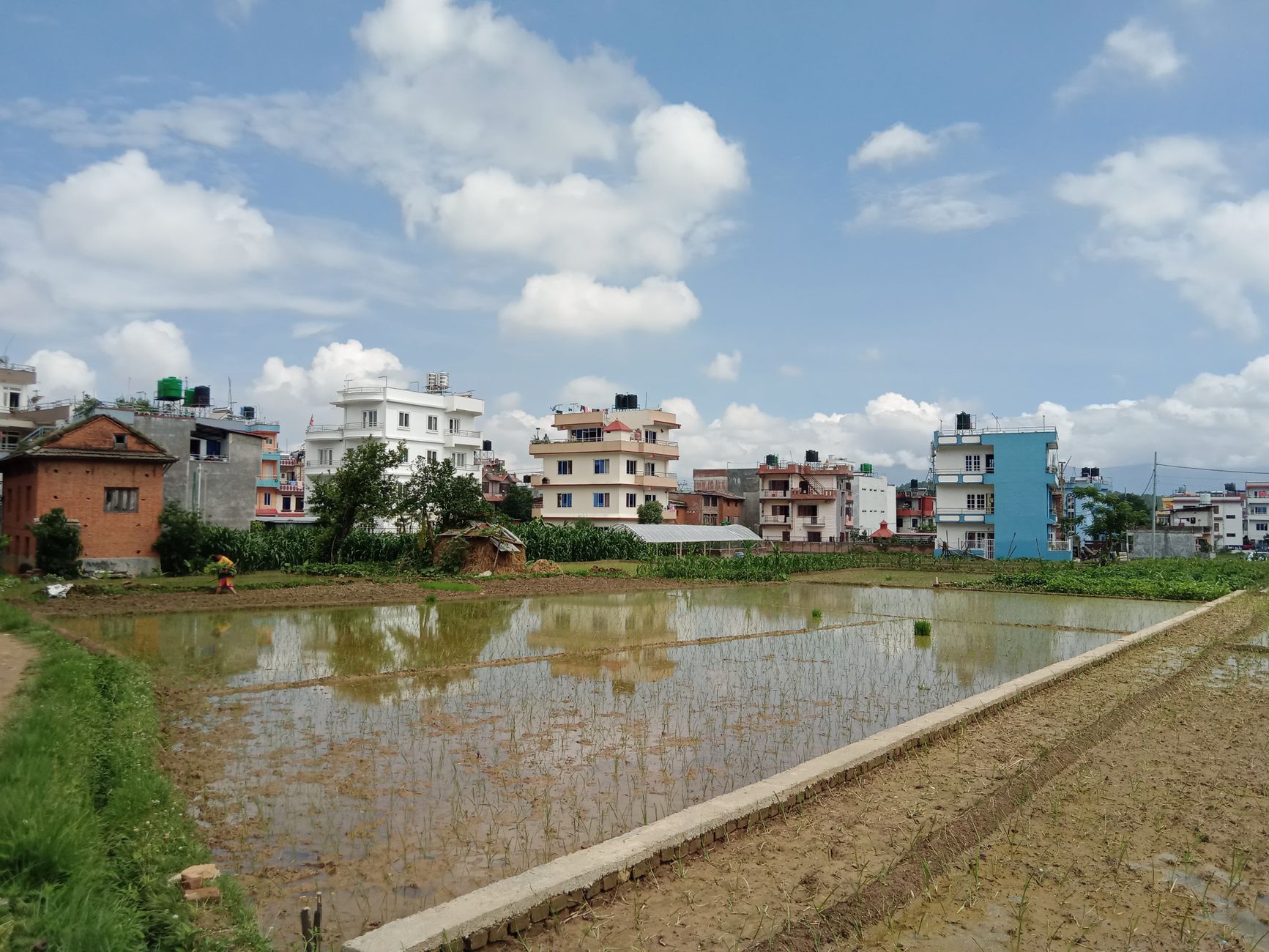 Birsa Village Development scheme