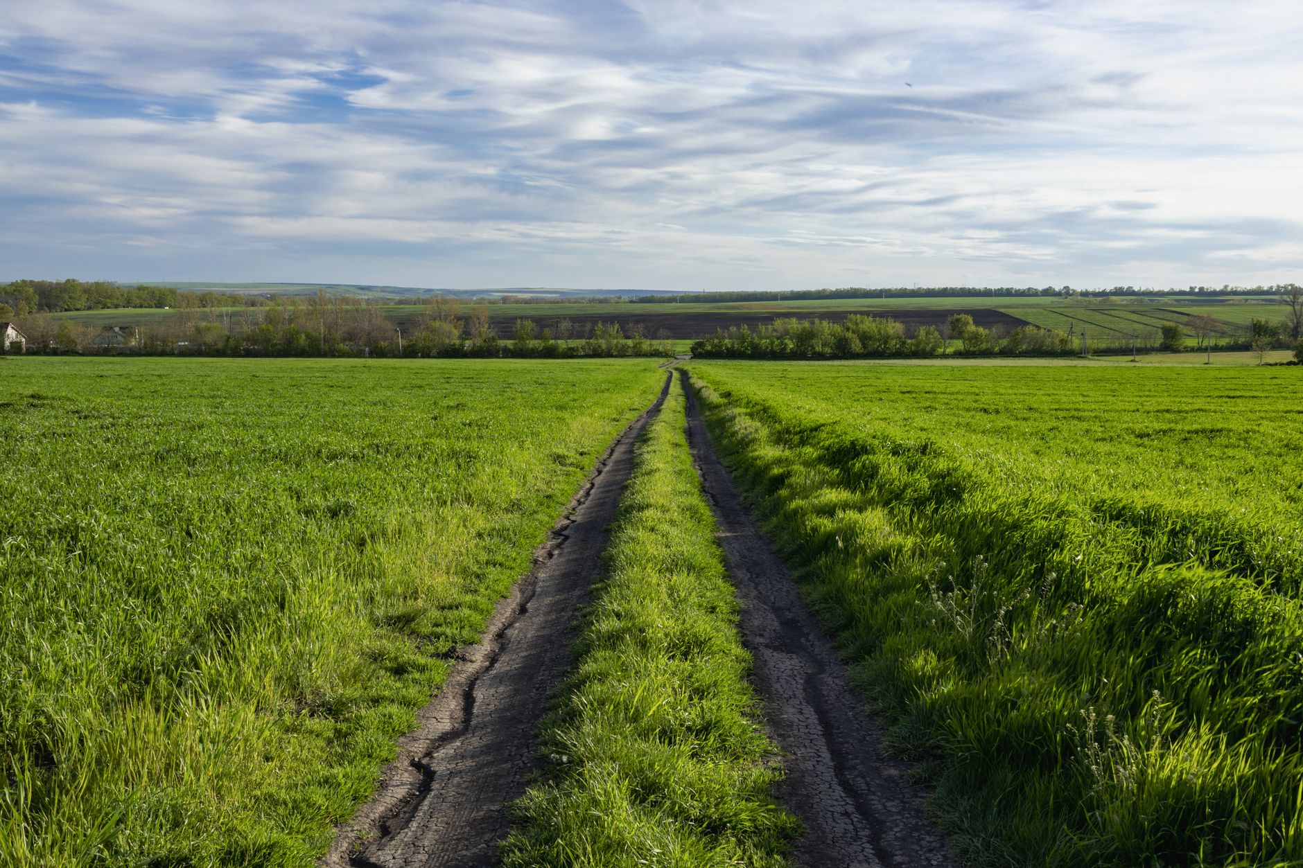 rehabilitate on-farm roads