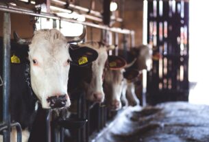 welfare schemes and farm payments